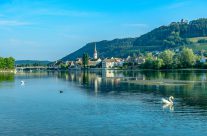 Sommermorgen am  Untersee bei  Stein am  Rhein