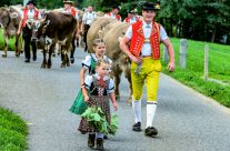 Goofe	(anständige!) Kinder