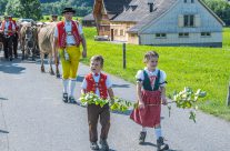 auch die Kleinen sind  dabei