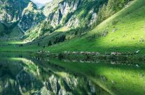 Alpabzug am Seealpsee