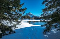 Im Winter ist auf der tief verschneiten Sonnen-terrasse Arni hoch über dem Reusstal ein gut präparierter Spazierweg angelegt