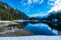 Es liegt noch Schnee auf dem Arni. Doch da und dort zeigen sich die ersten Frühlingsboten.