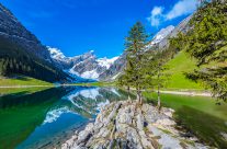 Seealpsee am 16 May