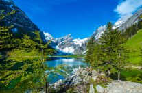 Der Seealpsee – einer der drei kostbaren Edelsteinen des Alpsteins.