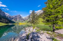 Seealpsee im May