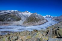 Das Gebiet des Grossen Aletschgletschers ist zusammen mit dem einzigartigen Aletschwald und den umliegenden Regionen seit dem 13. Dezember 2001 Bestandteil des UNESCO-Weltnaturerbes Schweizer Alpen Jungfrau-Aletsch.