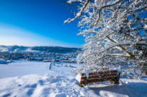 Wunderschöner  Wintertag