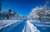 Apfelland Thurgau im Winter