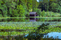 Die Bommer Weiher sind heute ein zu jeder Jahreszeit geschätztes Naherholungsgebiet. Das ganze Weihergebiet steht heute unter Naturschutz und ist ein wichtiger Lebensraum für Wasservögel und Amphibien.