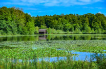 Bommer Weiher