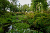 Park Selenger Moor