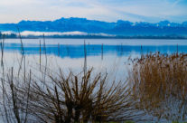 Morgennebel über dem Pfäffikersee