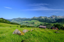 Schön zeigt sich der Alpstein