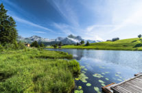 Schwändisee